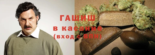 индика Алзамай