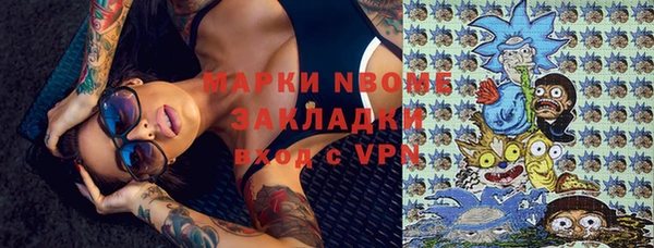 индика Алзамай