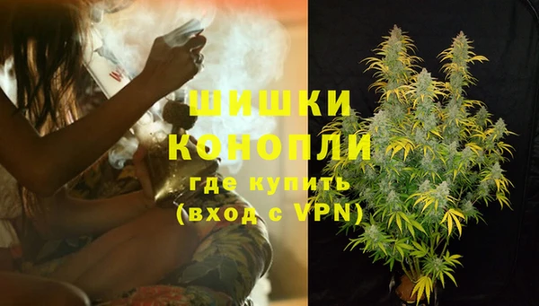 индика Алзамай