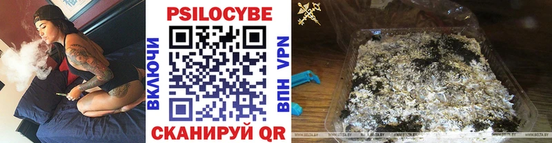 Галлюциногенные грибы Magic Shrooms  продажа наркотиков  Углич 
